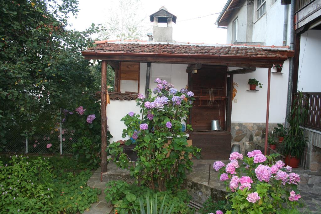 Hotel Todorova House Slatograd Exterior foto